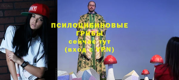 spice Алексеевка