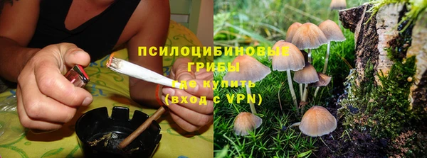 ALPHA PVP Алексин