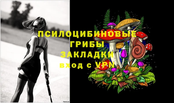 СК Абаза