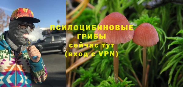 хмурый Алзамай