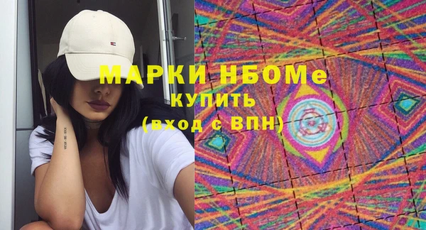 хмурый Алзамай