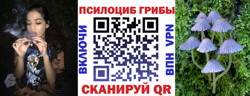 KRAKEN зеркало магазин продажи наркотиков Александровск Псилоцибиновые грибы мухоморы